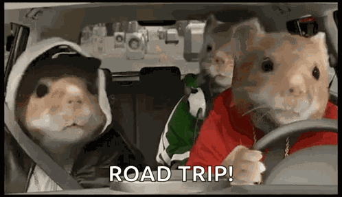 Road Trip GIF
