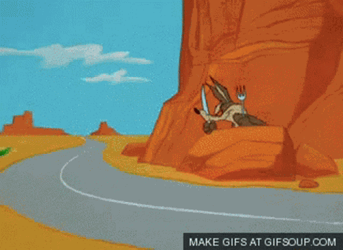 Roadrunner Coyote GIF