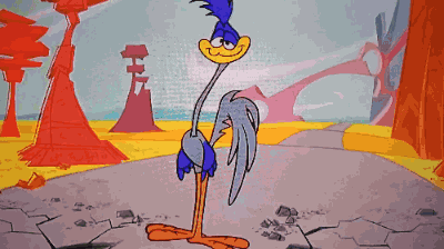 Roadrunner Looney Tunes GIF