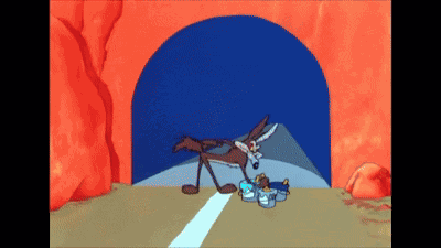 Roadrunner Looney Tunes GIF