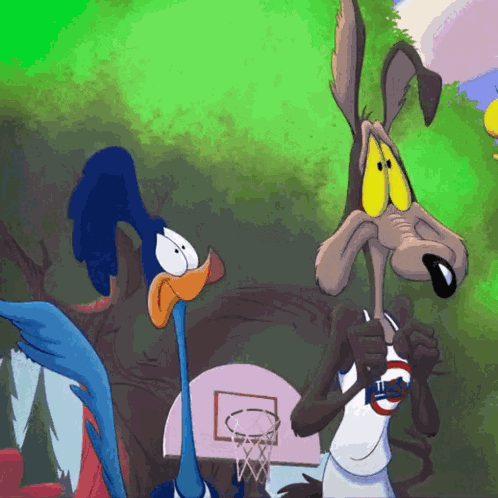 Roadrunner Wile E Coyote GIF
