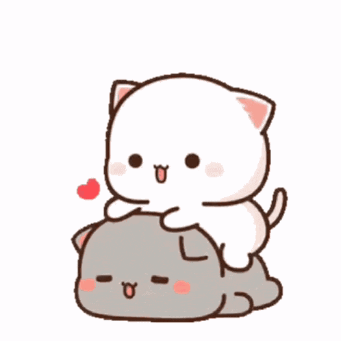 Robert Cat GIF