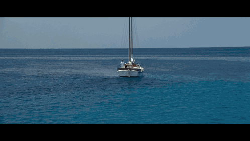 Robert Shaw Peter Benchley GIF