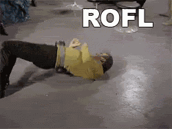 Rofl GIF