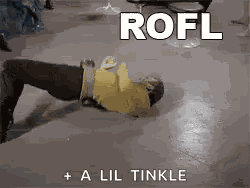 Rofl Rolling GIF