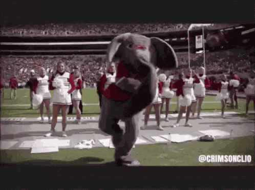 Roll Tide GIF