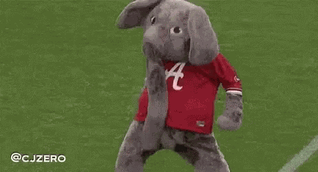 Roll Tide GIF