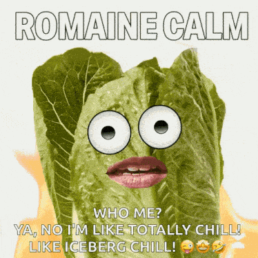 Romaine Calm Remain Calm GIF