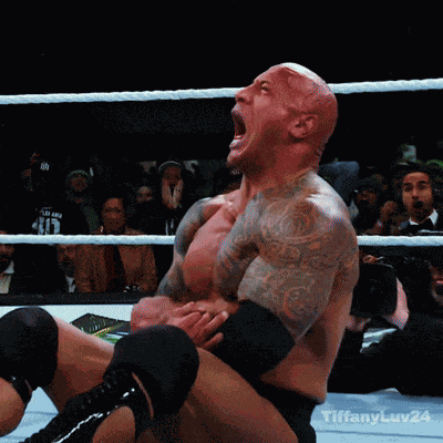 Roman Reigns The Rock GIF