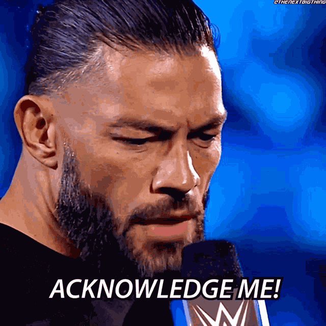 Roman Reigns Wwe Universal Champion GIF