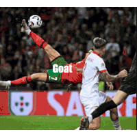 Ronaldo Ronaldo Al Nassr Sticker