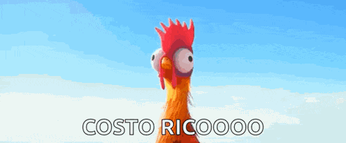 Rooster Crowing GIF
