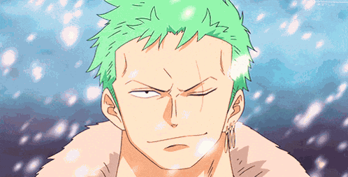 Roronoa Zoro Zoro Smirk GIF