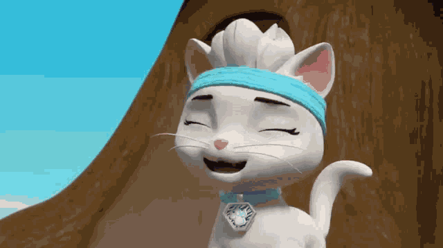 Rory Cat Pack GIF