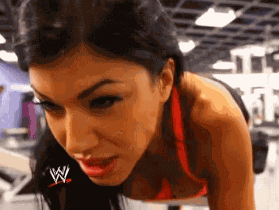 Rosa Mendes Wwe GIF