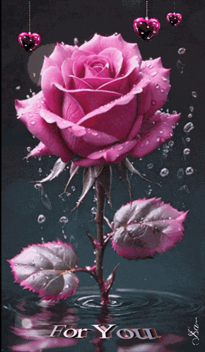 Rose Fleur GIF