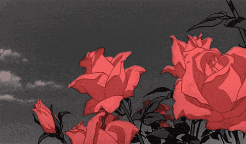 Rose Flower GIF