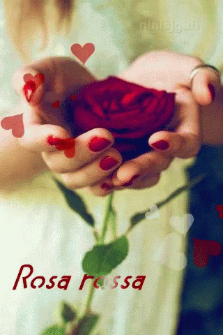 Rose For You GIF