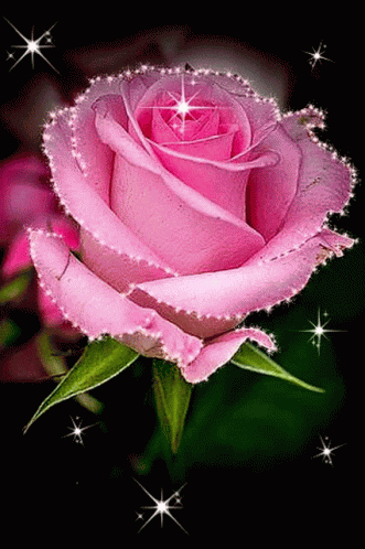 Rose Glitter57 Love Rose57 GIF