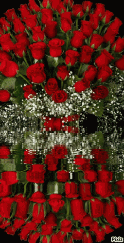 Rose517 Glittering Rose57 GIF