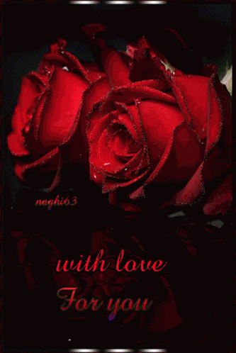 Rose517 Glittering Rose57 GIF