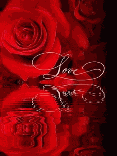 Rose517 Glittering Rose57 GIF
