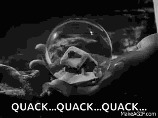 Rosebud The Ordinary Man Of Cinema GIF