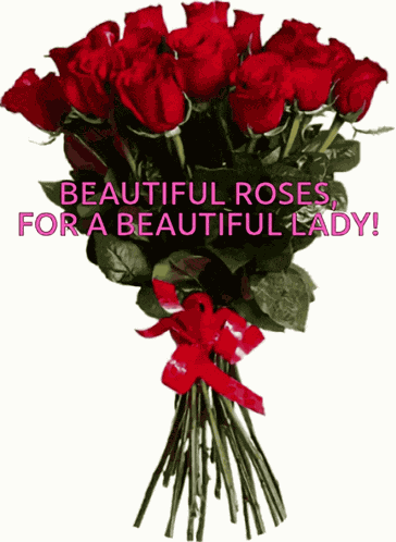 Roses Beautiful GIF
