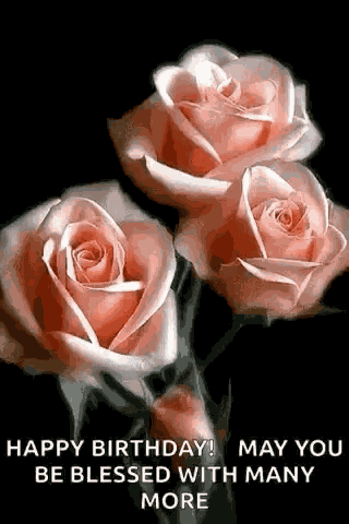 Roses Blooming Roses GIF