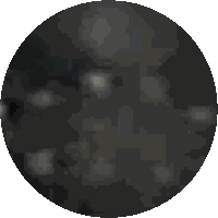 Rosie Rosieo Donnell Sticker