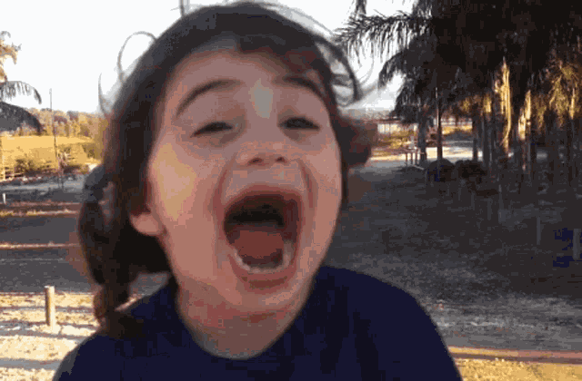 Roy Kafri Tor Lior GIF