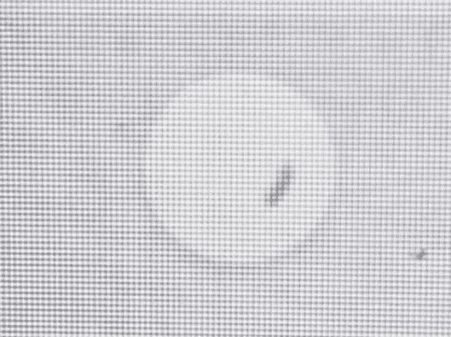 Ruedadecarga Tgl GIF