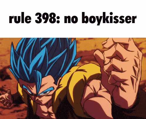 Rule 398 Dragonball Rule GIF