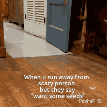 Run-but-seeds GIF