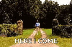Run Forest Gump GIF