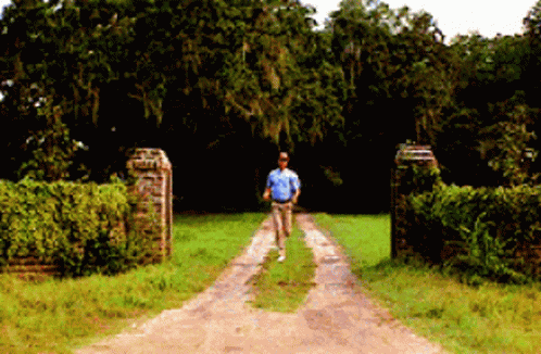 Run GIF