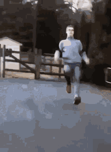 Run Run Forest GIF