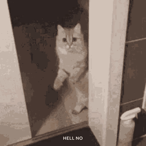 Run Running GIF