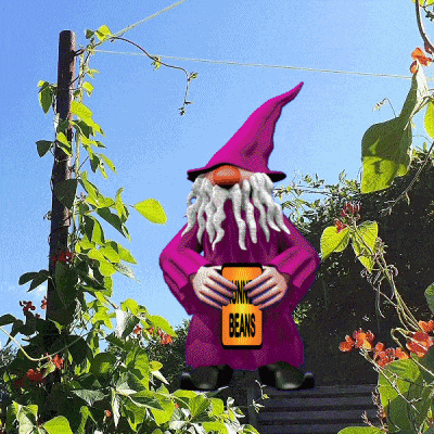 Runner Beans Vegetables GIF