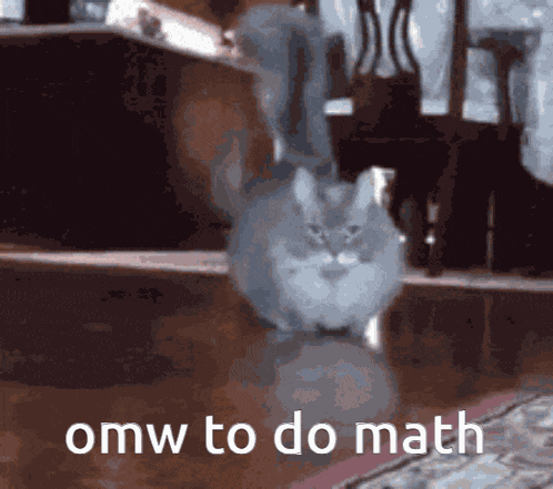 Running Math Cat Gato Omw GIF
