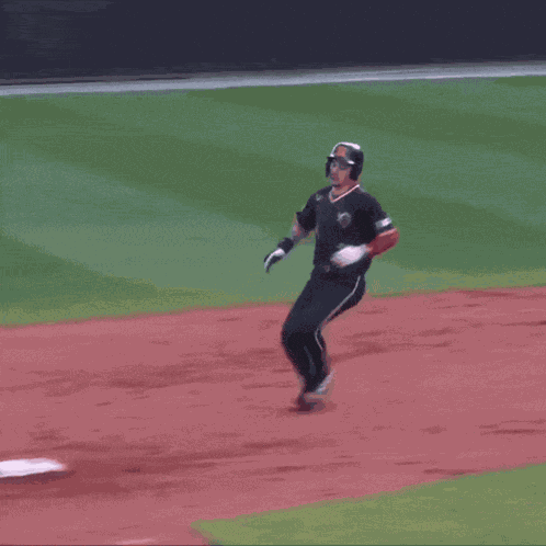 Rutgers Rutgers Baseball GIF