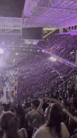 Rwt Renaissance World Tour GIF