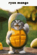 Ryan Mango Cat GIF