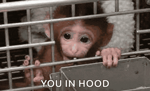 Sad Baby Monkey Smally Monkey Meme