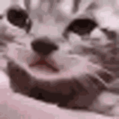 Sad Cry GIF