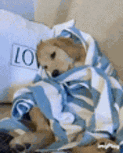 Sad Dog GIF