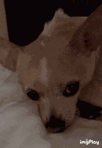 Sad Eyes Sad GIF