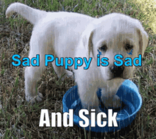 Sad Puppy Sick GIF