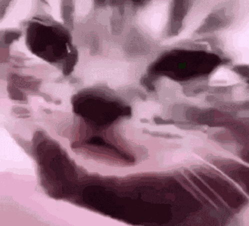 Sad GIF