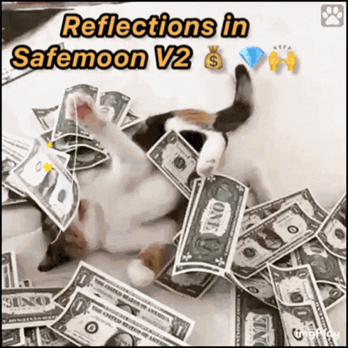 Safemoon Reflections GIF